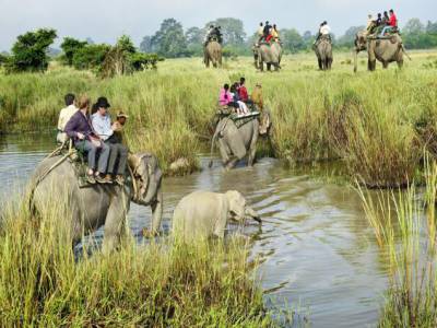 India Wildlife Safari Tour
