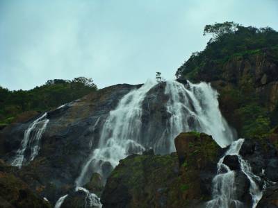 Travel Guide Dudhsagar Waterfalls Goa