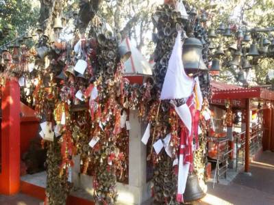 Travel Guide Ghorakhal Golu Devta Temple Uttarakhand