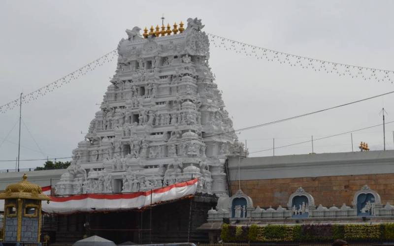 Tirupati Balaji Temple Tirumala Hill