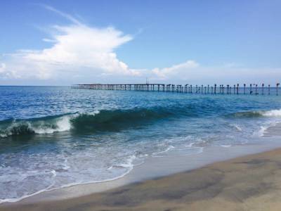 Travel Guide Alappuzha Beach Alleppey