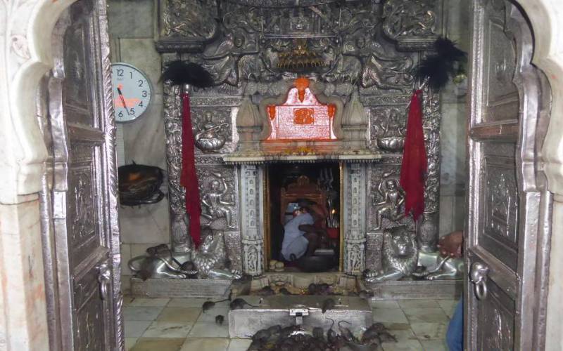 Karni Mata Temple