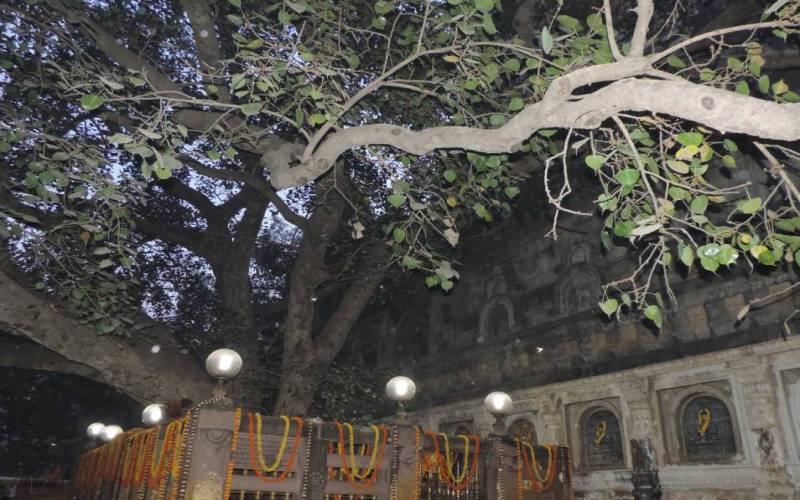 Mahabodhi Temple Bihar