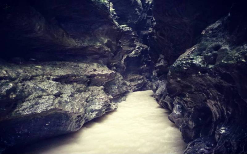 Robbers Cave Dehradun