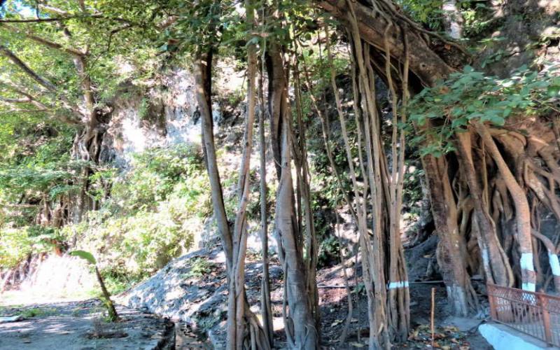 Vashistha Cave Rishikesh