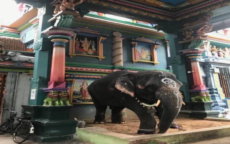 Arulmigu Manakula Vinayagar Temple