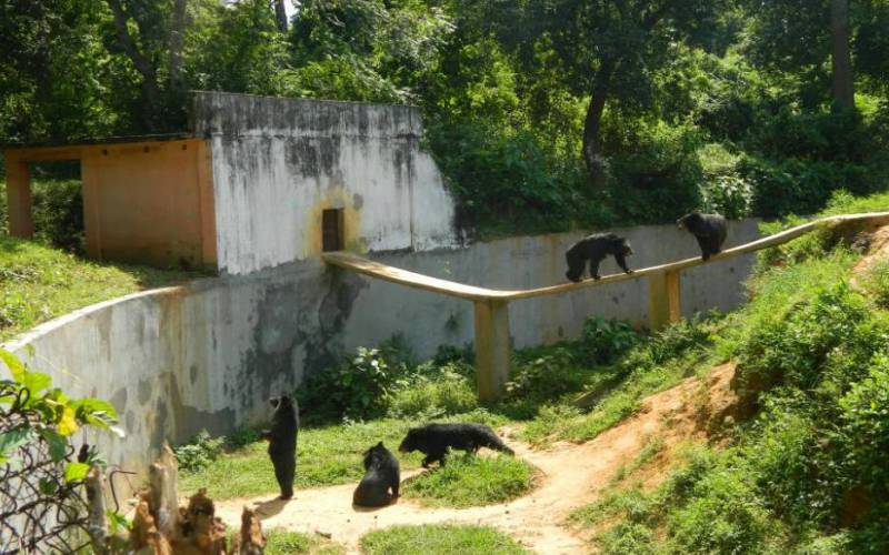 Sepahijala Wildlife Sanctuary