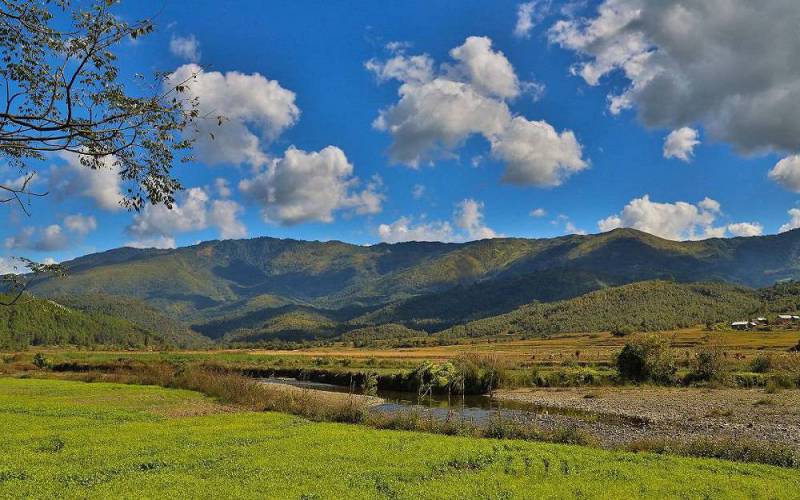 Shirui Kashung Ukhrul Manipur