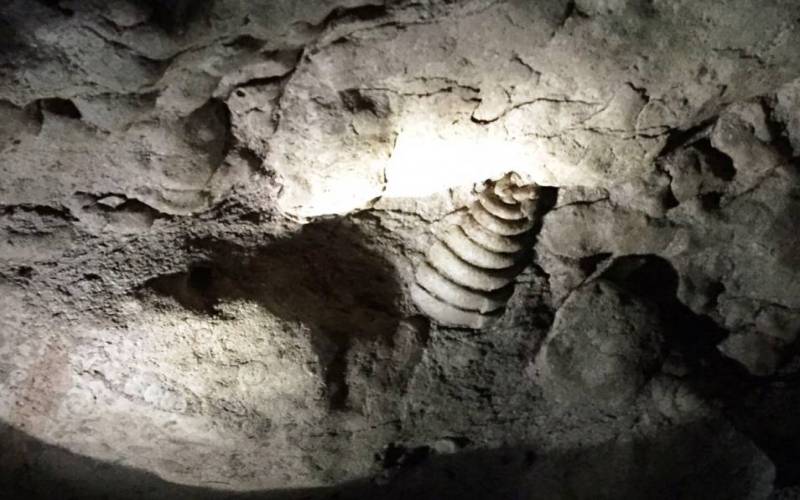 Arwah Cave Cherrapunji