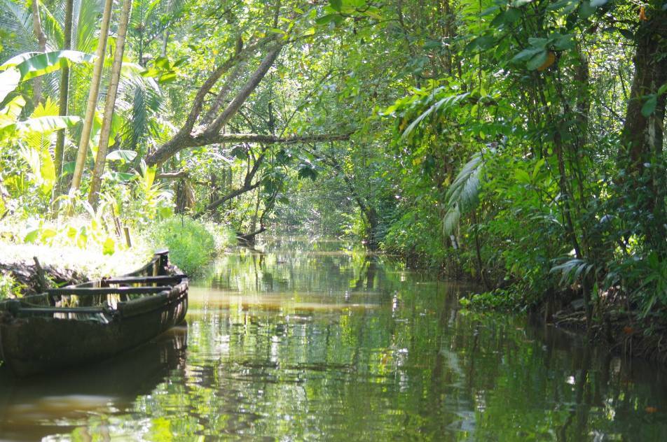 Kumarakom Bird Sanctuary Kottayam & Tourist Attractions