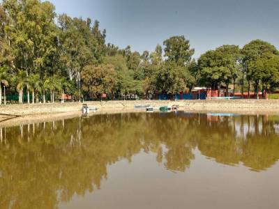 Travel Guide Sukhna Lake Chandigarh