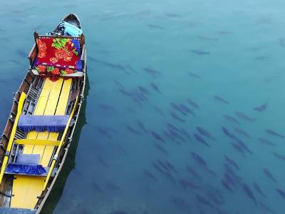Travel Category - Naini Lake