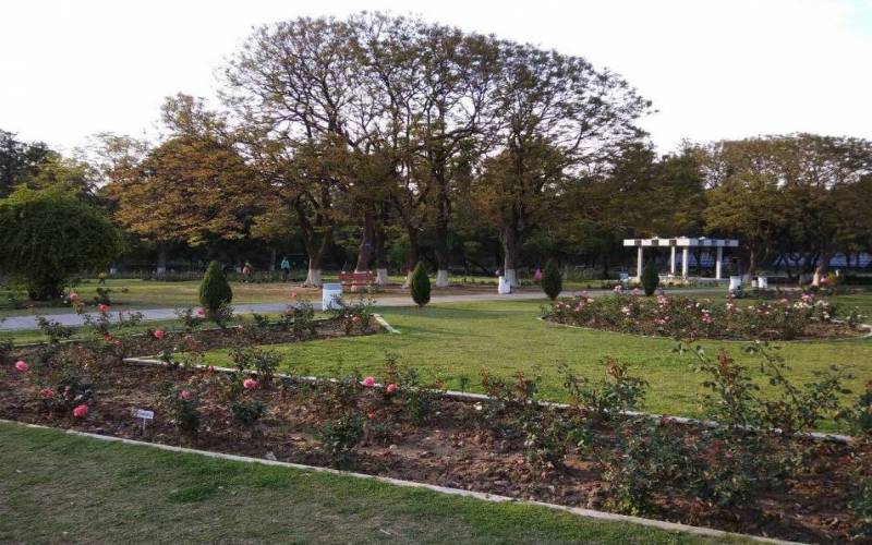 Rose Garden of Chandigarh
