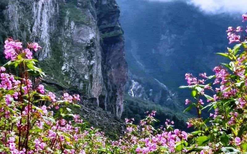Valley of Flowers National Park