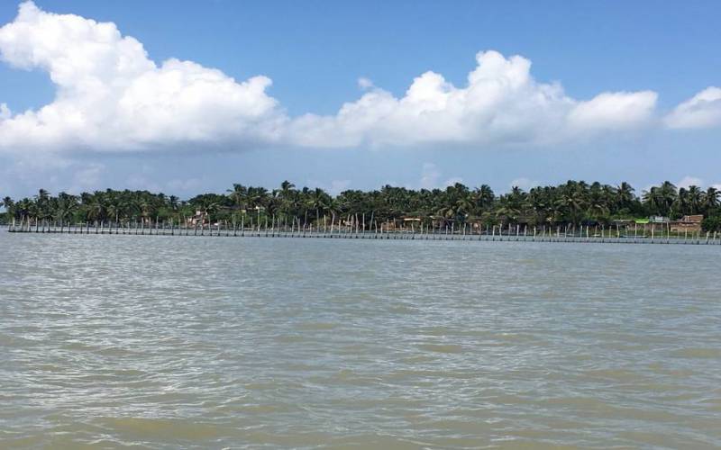 Chilika Lake in India