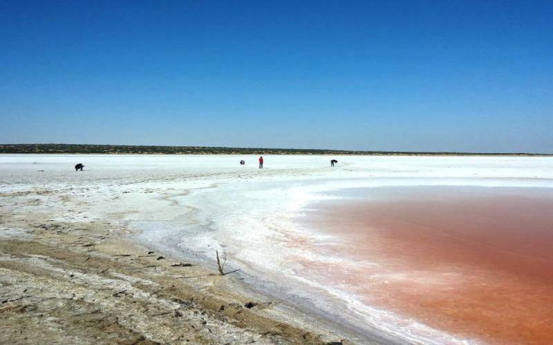 The Great Rann of Kutch Gujarat