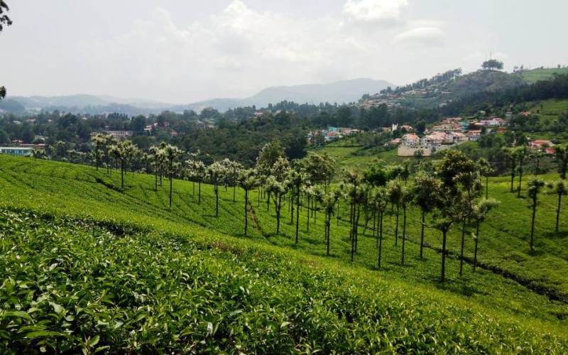 Coonoor Hill Station in Tamil Nadu