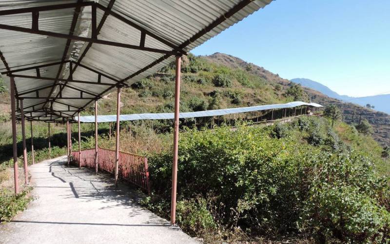 Danda Nagraja Temple in Pauri Garhwal of Uttarakhand