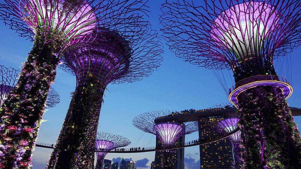 Supertree Grove Singapore, Timings, Tourist attractions, images