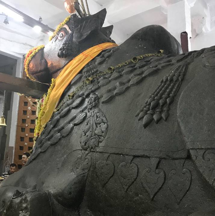 Bull Temple Bangalore, Timings, History, Location, Images