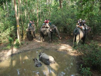 Travel Guide Chitwan National Park