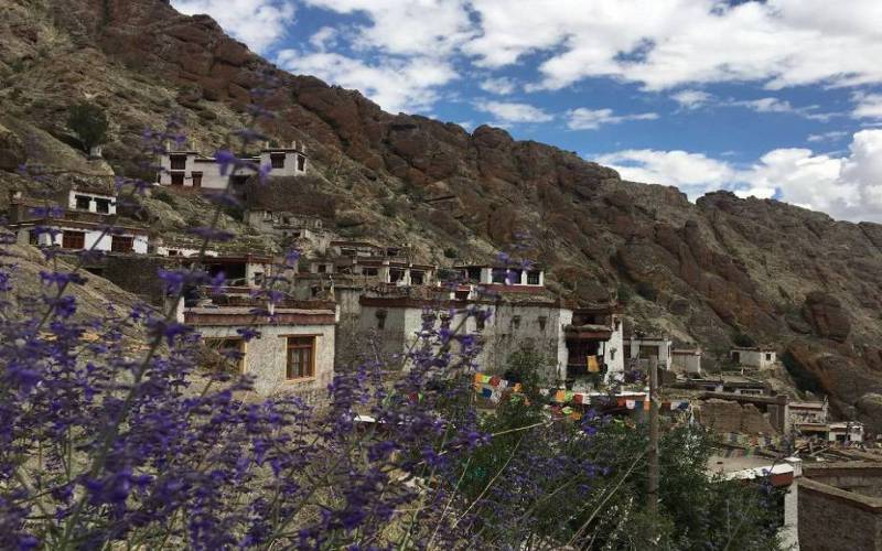 Hemis in Leh of Ladakh