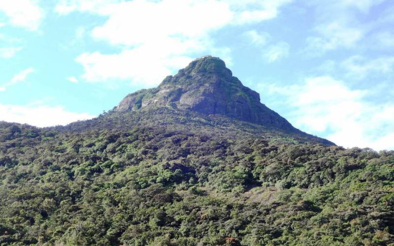 Adams Peak