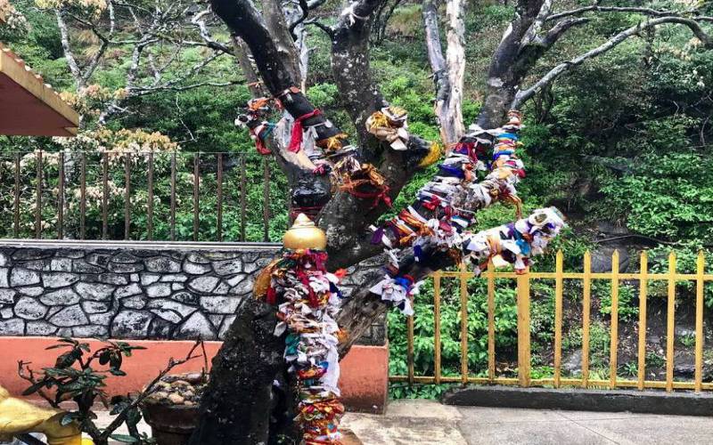 Ashok Vatika, Nuwara Eliya