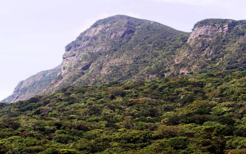 Ashok Vatika in Nuwara Eliya