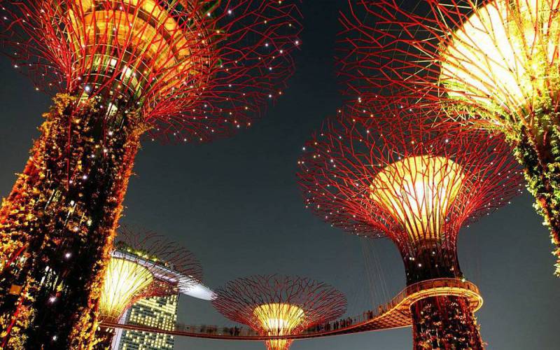 Supertree Grove, Singapore