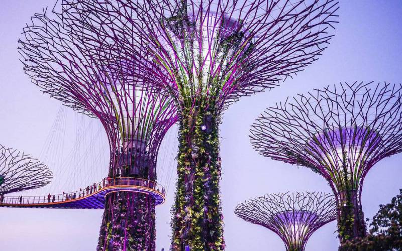 Supertree, Singapore