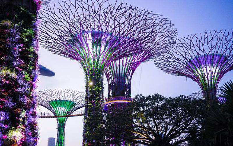 Supertree Grove Singapore