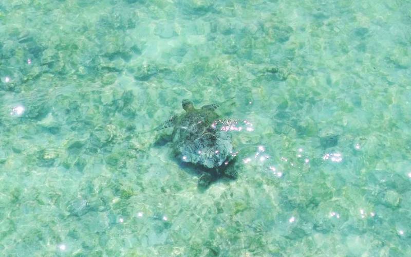 Islands in Lakshadweep