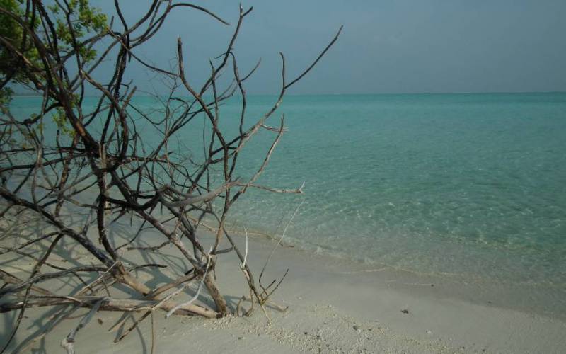 Bangaram Island, Lakshadweep