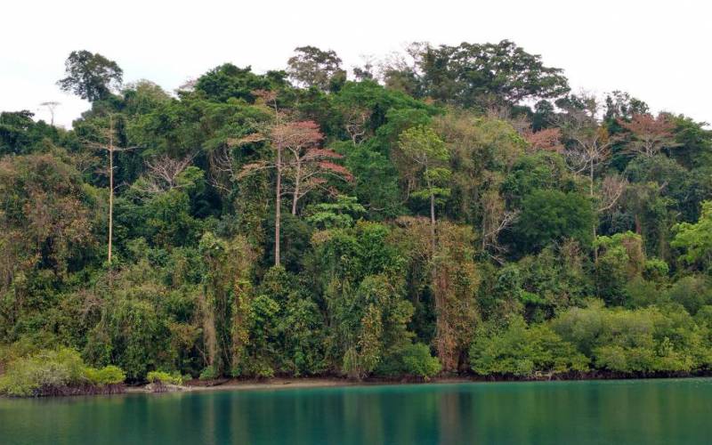 Jolly Buoy Island Andaman & Nicobar Islands