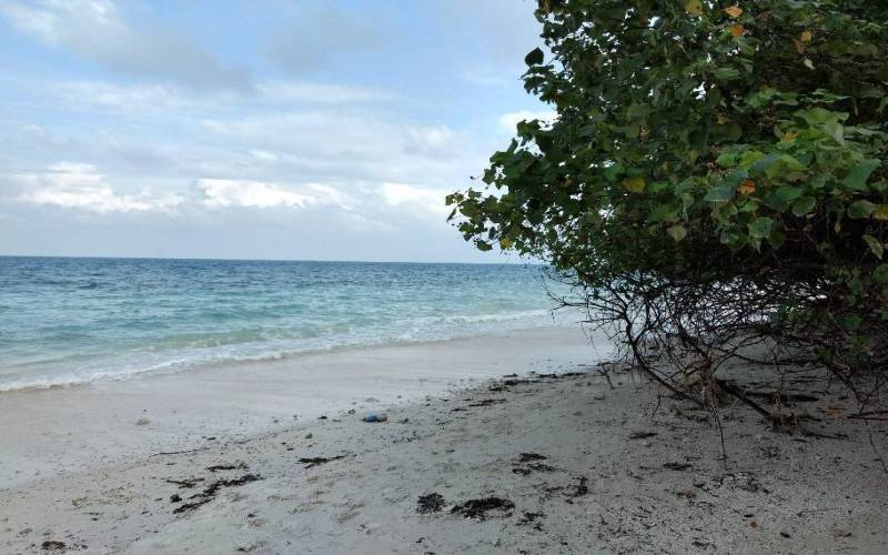 Kalapathar Beach in Andaman & Nicobar Islands