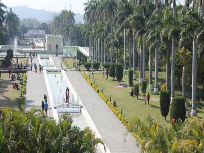 Travel Guide Pinjore Gardens
