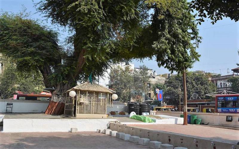 Siddi Saiyyed ni Jali in Gujarat