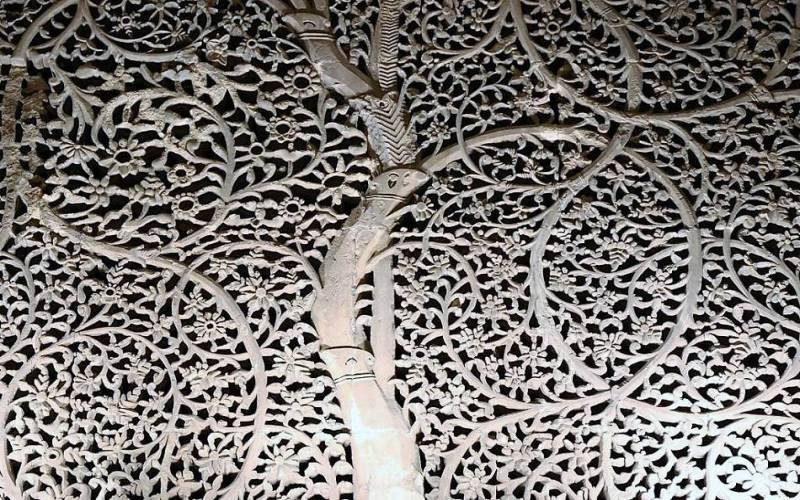 Sidi Saiyyed Mosque Ahmedabad 