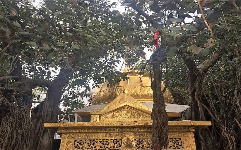 Chintpurni Devi Temple in Himachal Pradesh