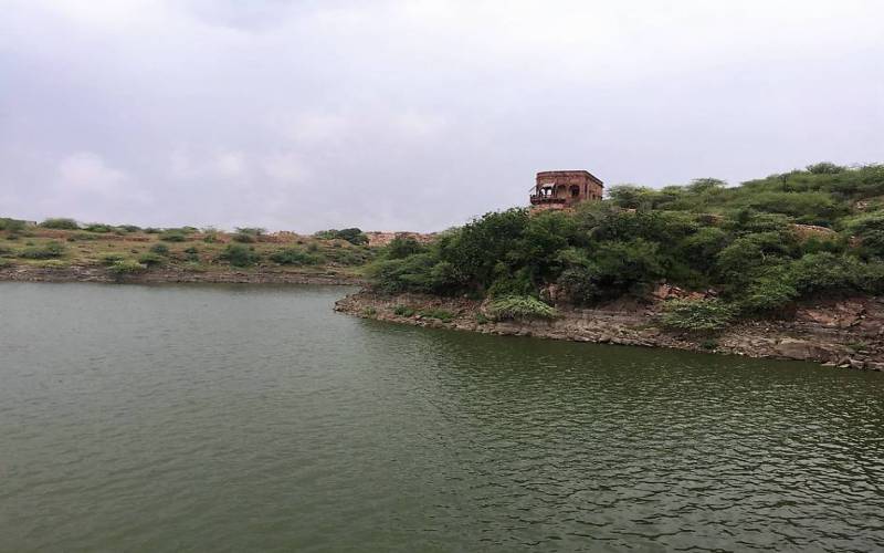 Balsamand Lake Jodhpur