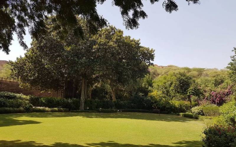 Balsamand Lake in Jodhpur of Rajasthan