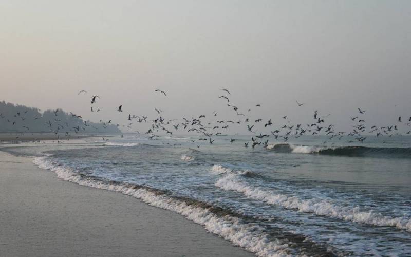 Tarkarli Beach Malvan