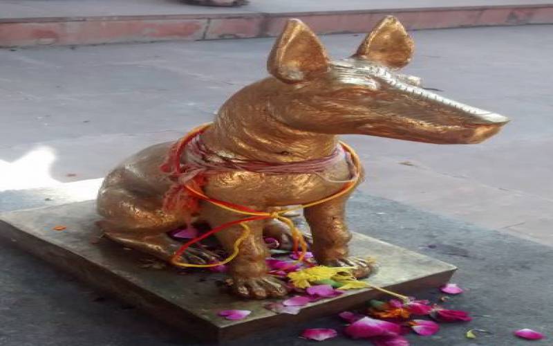 Kal Bhairav Temple Ujjain