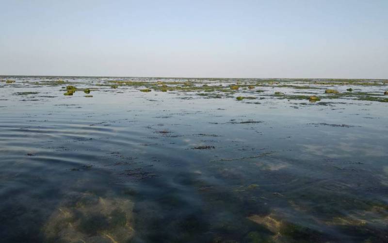 Narara Marine National Park