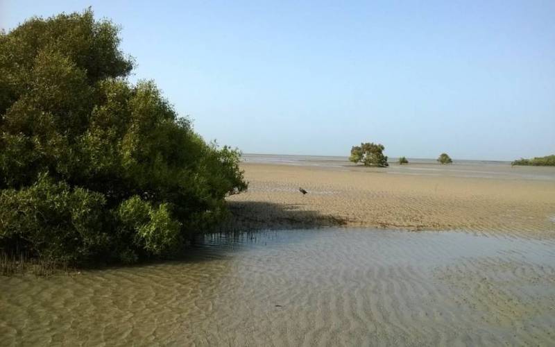 Narara Islands in Jamnagar