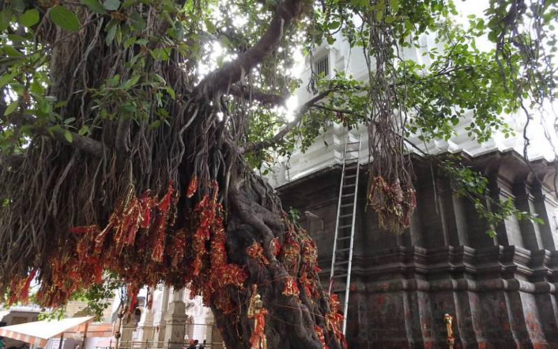 Bajreshwari Devi Temple Himachal Pradesh