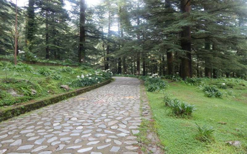 Saint John Church Macleodganj