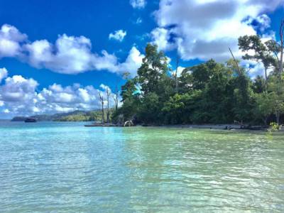 Travel Guide Havelock Island