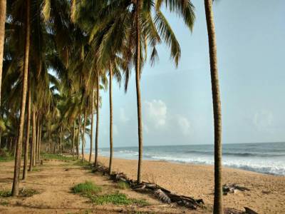 Travel Guide Kappil Beach Kasaragod
